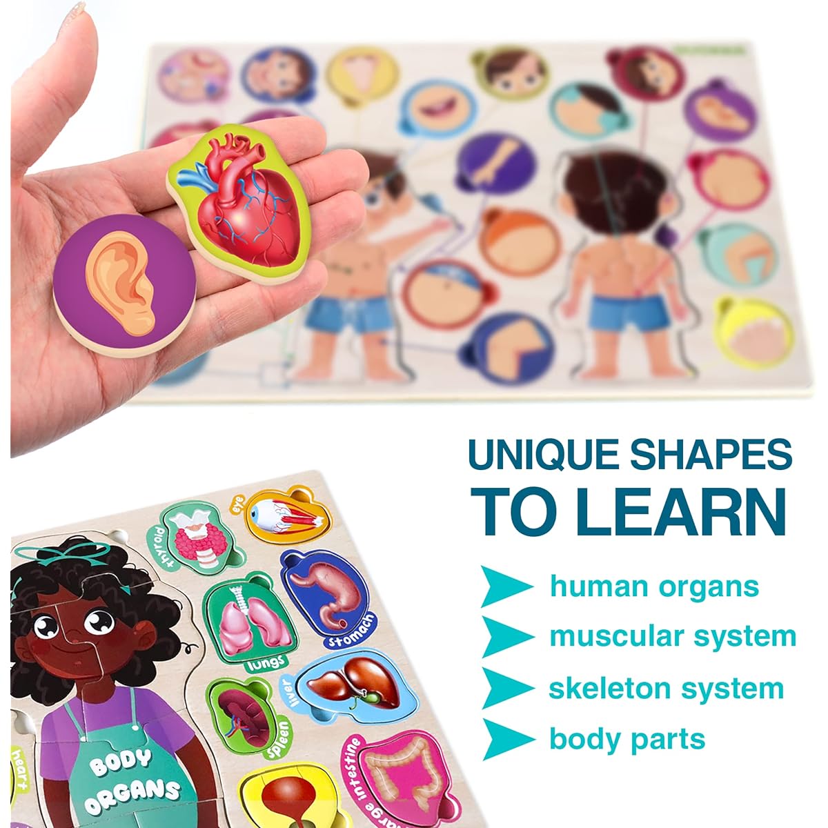 QUOKKA Wooden Puzzles for Kids - Montessori Toddler Puzzles for Ages 2-4 - Preschool Games to Learn Human Body Parts