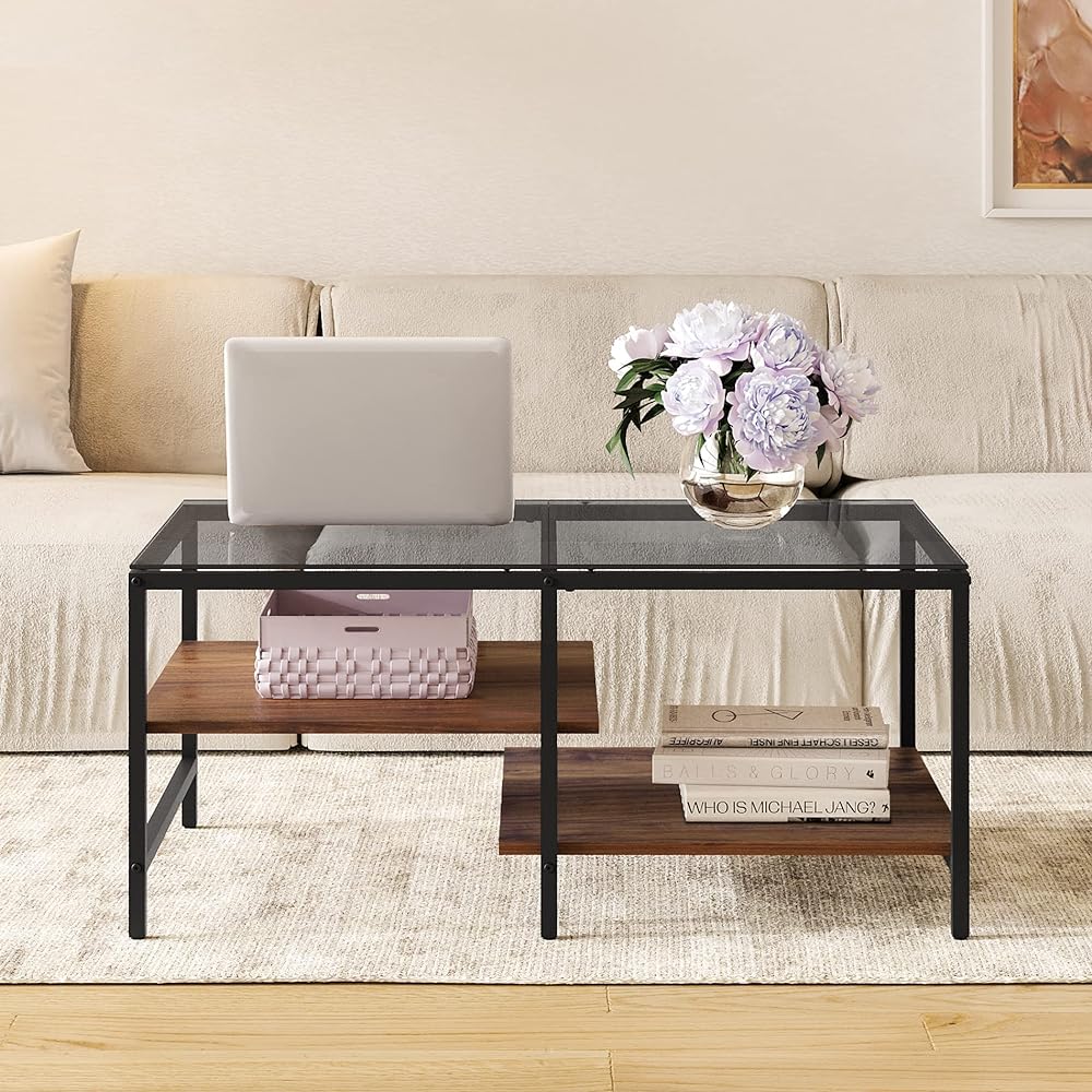 HOMOOI Low Table Center Table Glass Table Two Tier Storage Tempered Glass with Storage Stylish Living Room Single Living Width 100 x Depth 60 x Height 45cm Sapele