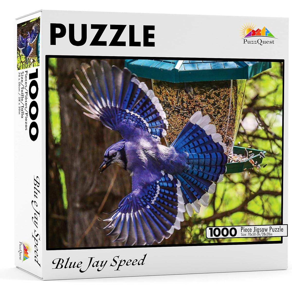 PuzzQuest Blue Jay Speed Fine Art Bird Jigsaw Puzzle 1000 Piece for Adults and Teens