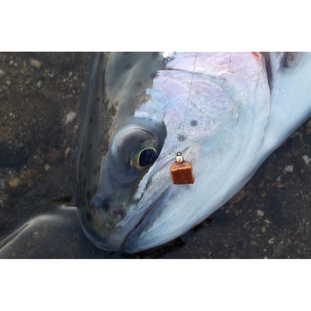 GoFly Purely Domestic TG Pellet BL #10 5 Colors Set of 5 Managed Fishing Area Bakutsuri Fly