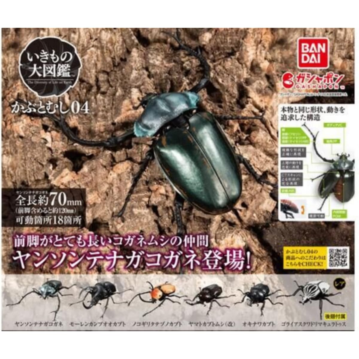 Living Creatures Encyclopedia Rhinoceros Beetle 04 x 6 types set *Rare included Full set Gachapon Capsule toy