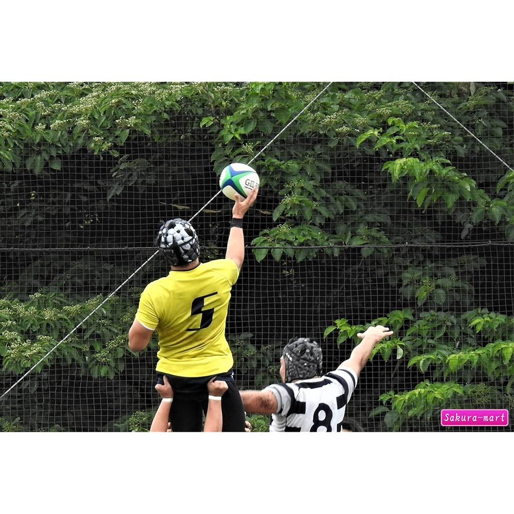 iTAC2 Sports Grip (Regular) for Rugby, Basketball, Tennis, Water Polo, etc. Wax Type, Anti-Slip, Longer Effective than Spray, Sweat-Slip Prevention, Grip Aid [Parallel Import]