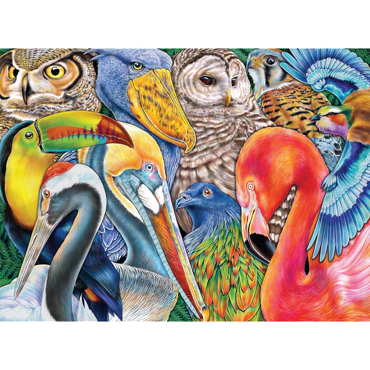 Buffalo Games Jigsaw Puzzle Bird Bonanza 1000 Piece