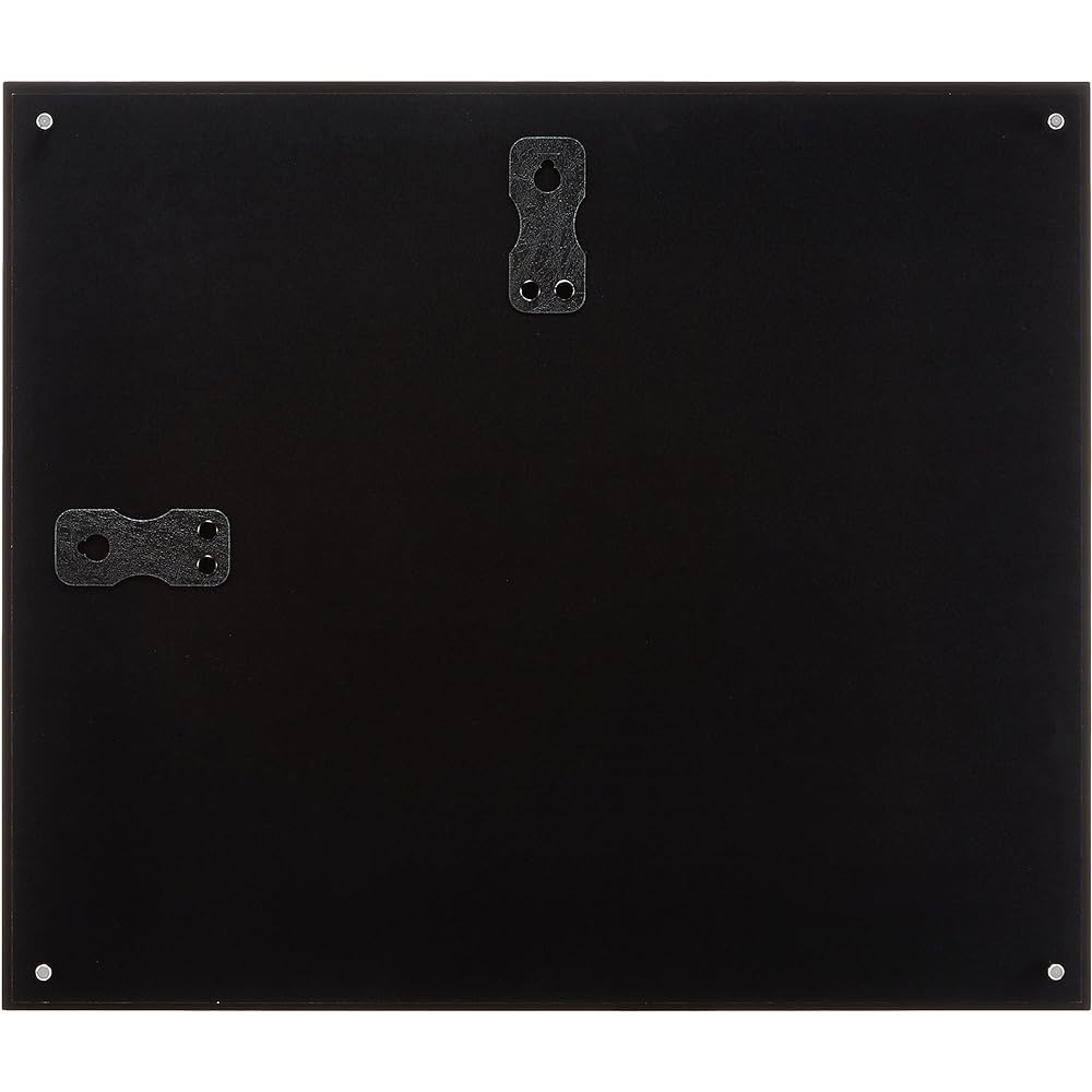 FUJICOLOR Picture Frame Pro Frame [Special Size Free L] Special Size Acrylic Black 40090