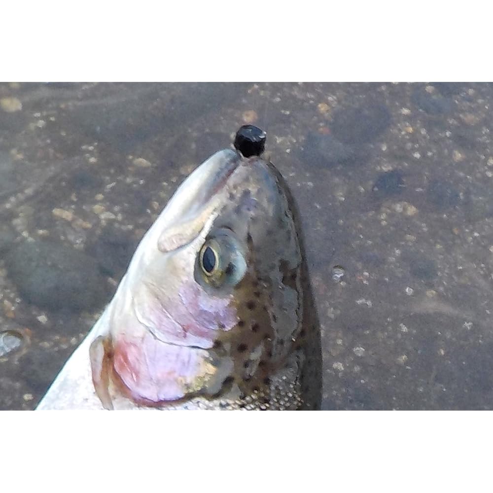 GoFly Purely Domestic TG Pellet BL #10 5 Colors Set of 5 Managed Fishing Area Bakutsuri Fly