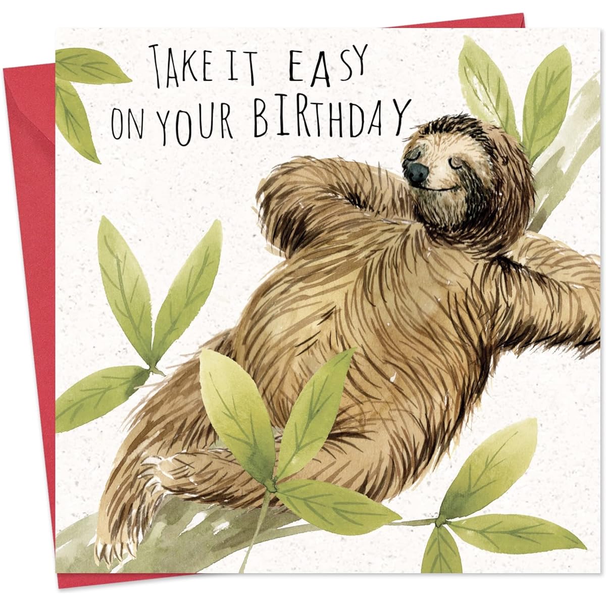 Twizler Funny Birthday Card Sloth – Funny Card Birthday – Happy Birthday Card – Funny Birthday Card Men – Funny Birthday Card Women – Funny Birthday Card Him – Funny Birthday Card Her – Sloth Card