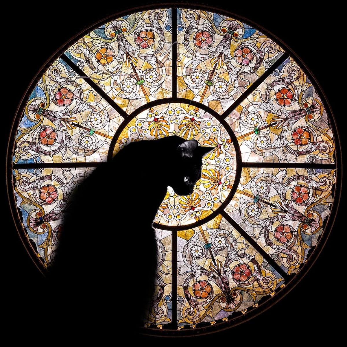 Wooden Jigsaw Puzzle for Adults - Cats in the Cathedral - 372 Wood Pieces Made in the USA by Nautilus Puzzles