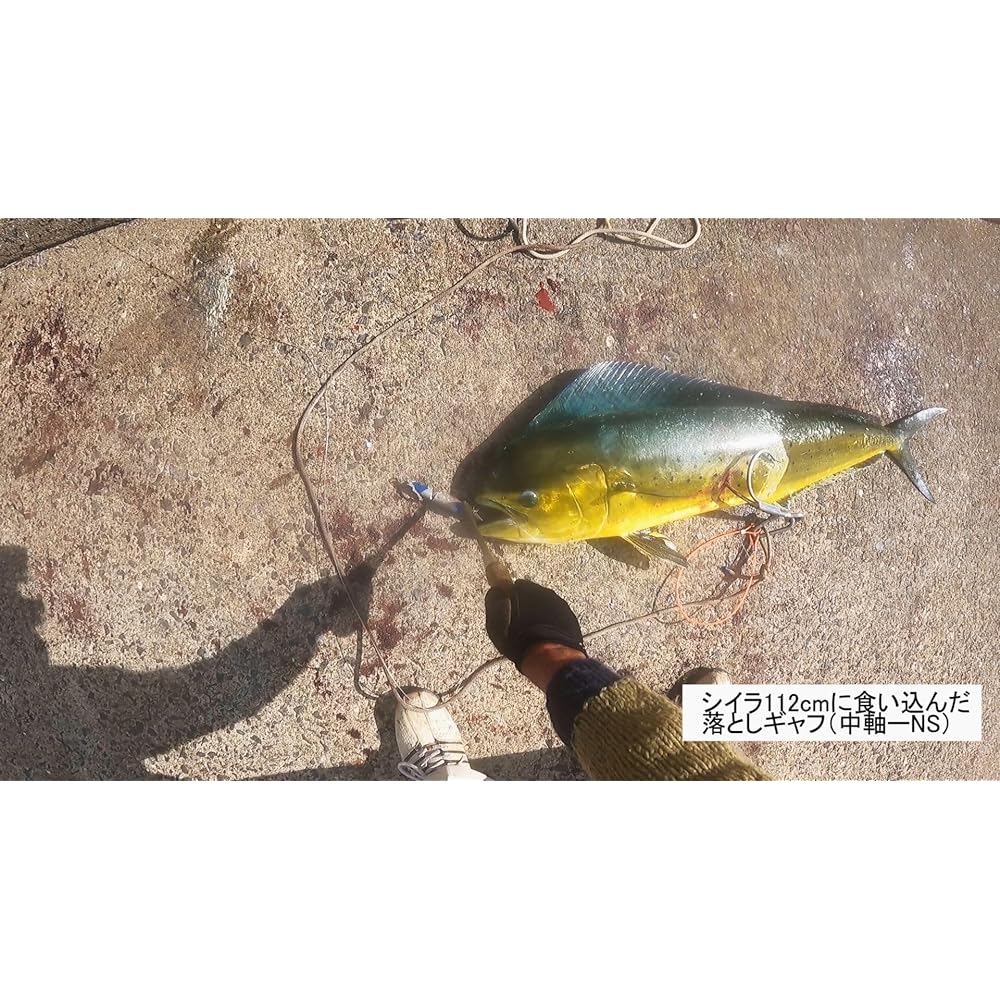 Dropping double gaff (patented) Seabass blue fish intake system (new model)