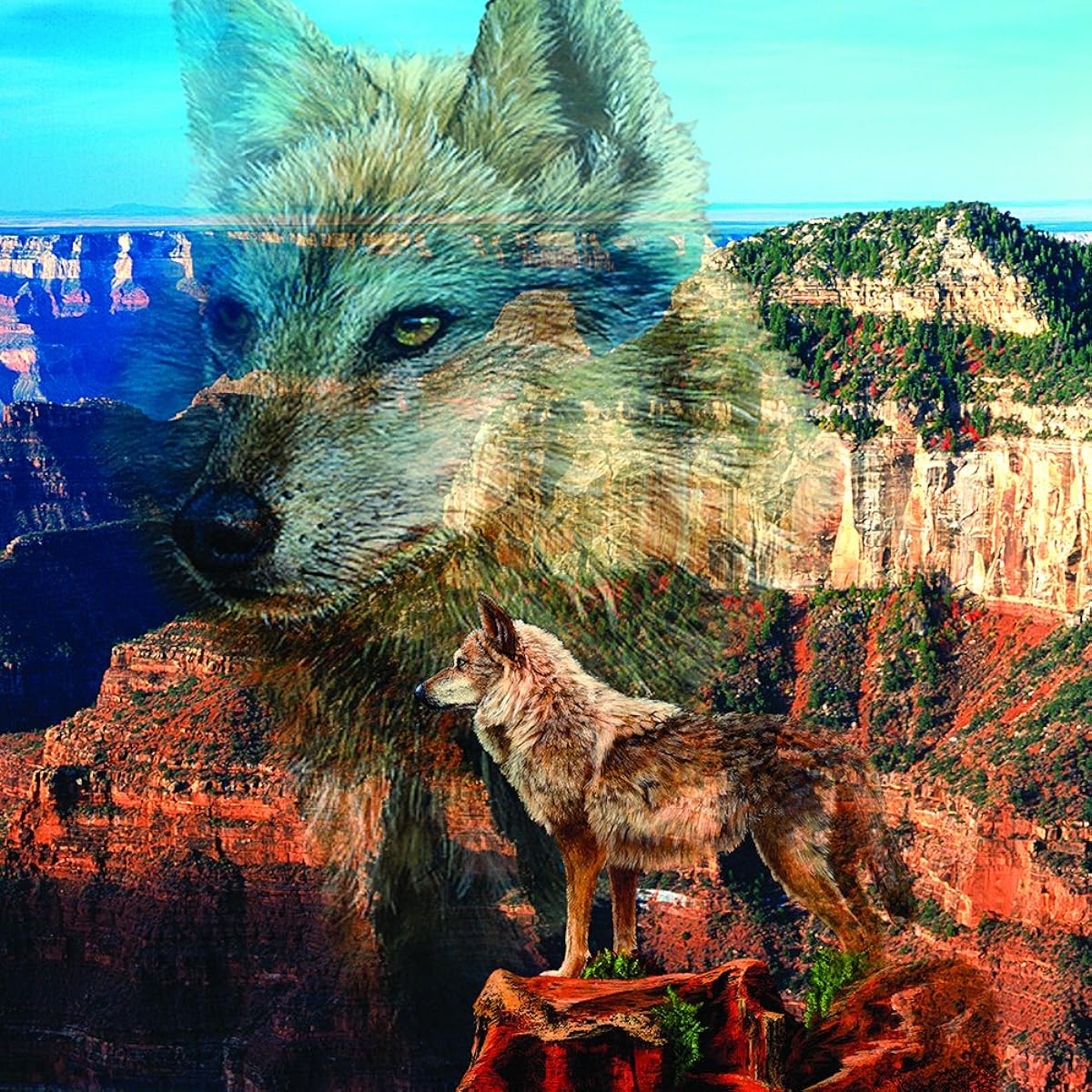 SunsOut Haunted Canyon 500 Piece Jigsaw Puzzle - Wolf Theme