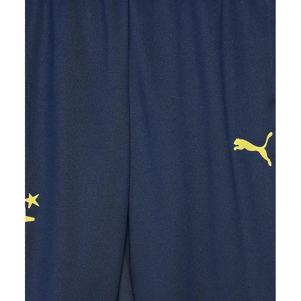 [PUMA] Soccer NJR INS. TR Pants JR 658802 Kids