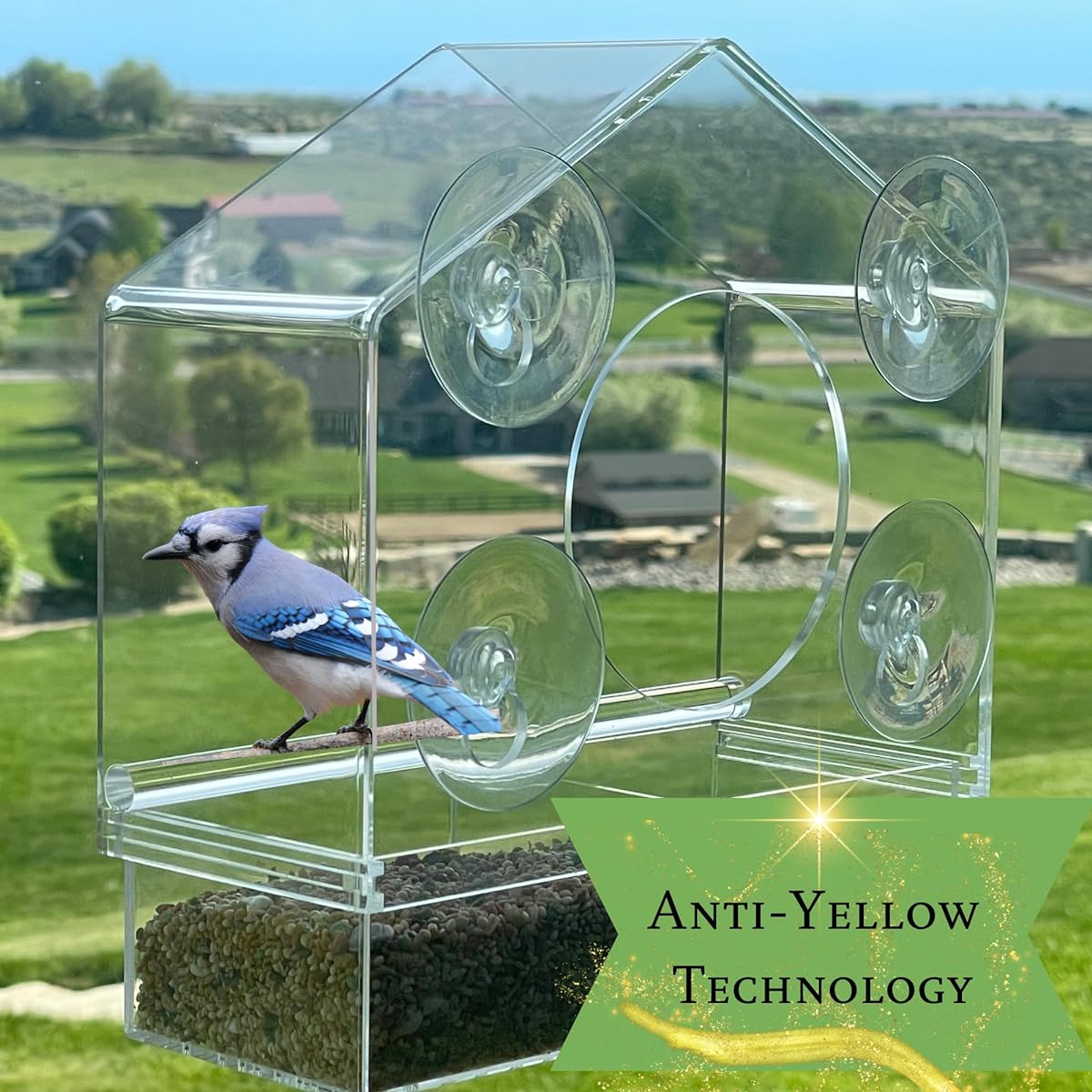 Go Simply Amazing Clear Bird Feeder (House Shape)