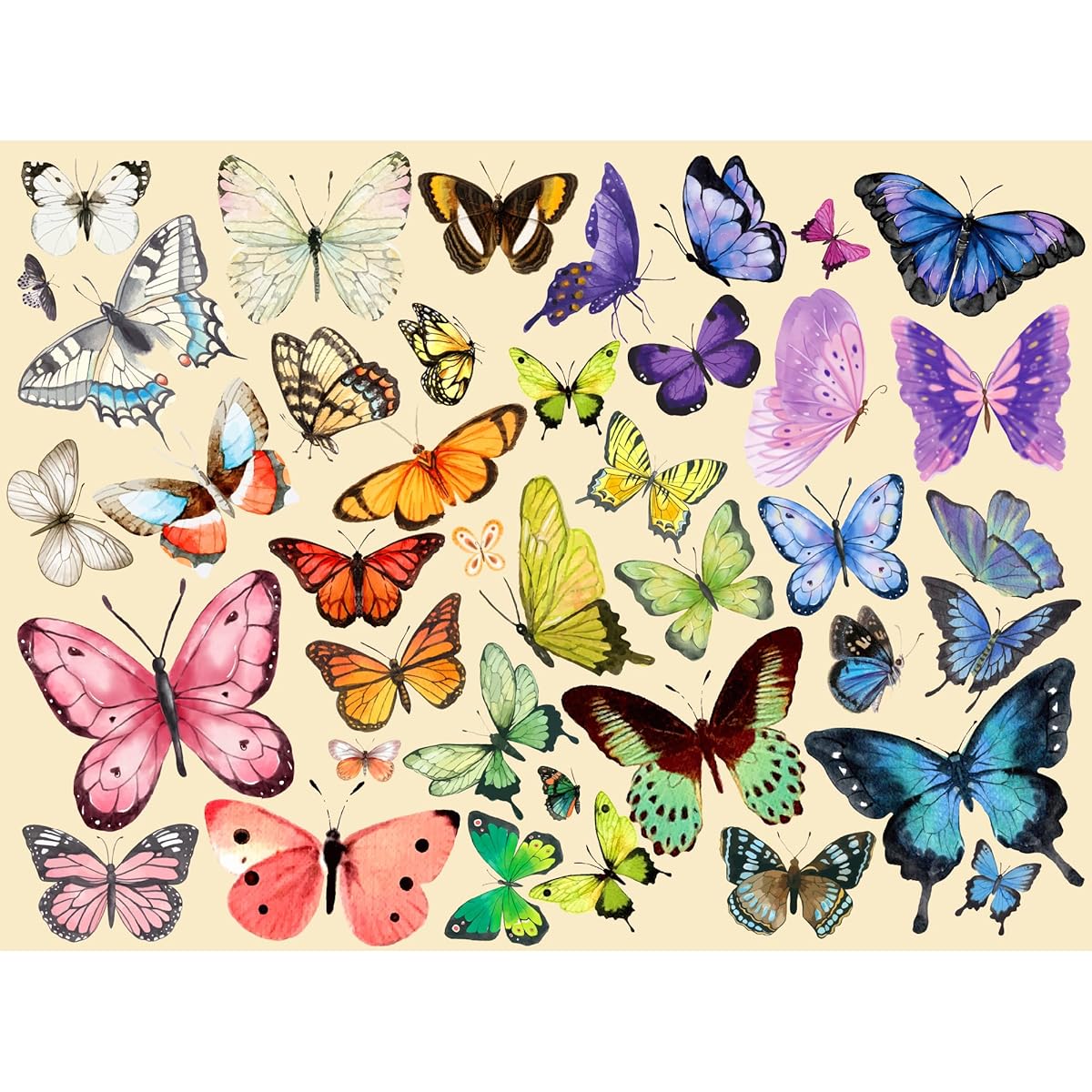 TAOZI&LIZHI Puzzle - Butterfly Beauty 1000 Piece Puzzle for Adults Butterfly Colorful Cool Nature Wildlife Puzzle Jigsaw Puzzle Size 20 x 27 Inch