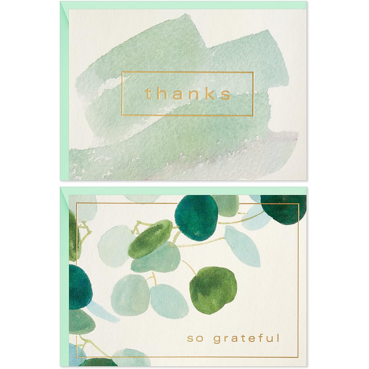 Hallmark Thank You Card Assortment, Watercolor, Green (50 Thank You Notes and Envelopes)