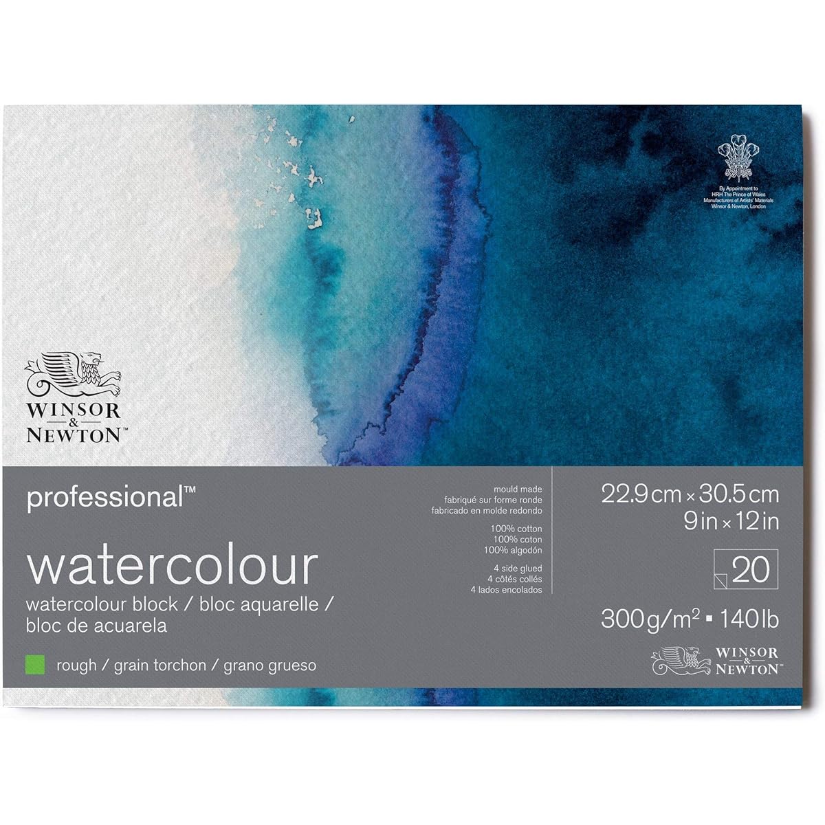 Winsor & Newton Professional Watercolor Paper Block, 9" x 12", Rough