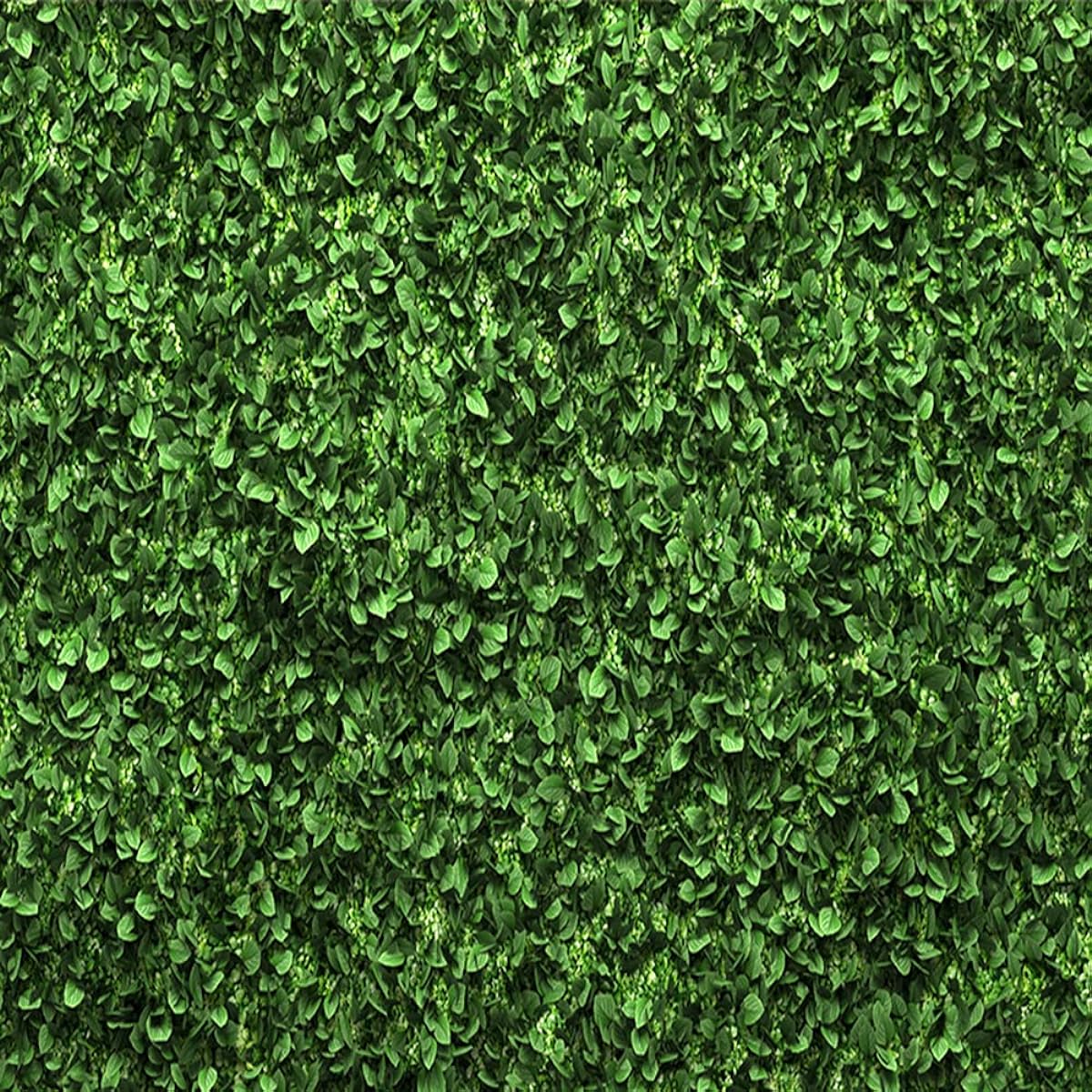 CY-066 Green Leaf Backdrop Green Leaf Wall Jungle Theme Baby Shower Party Wedding Baby Shower Party Bridal Shower Photo Props Cake Table Decoration 8x8ft
