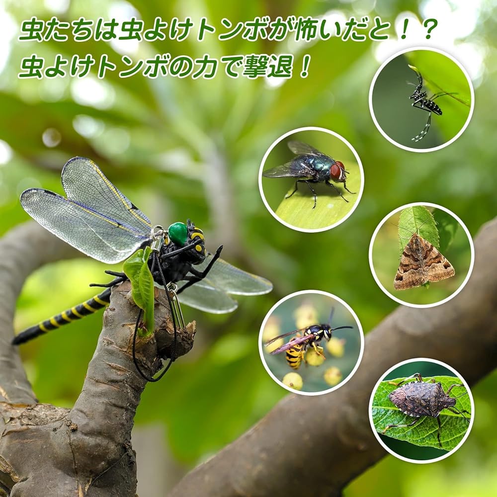 2024 Model Dragonfly Genuine Product [Almost the same size as the real thing] Dragonfly Insect Prevention Strap and Safety Pin Included PVC Material Fishing Interior Decoration Balcony Screen Door Decoration Climbing Camping Outdoor (8 pieces)