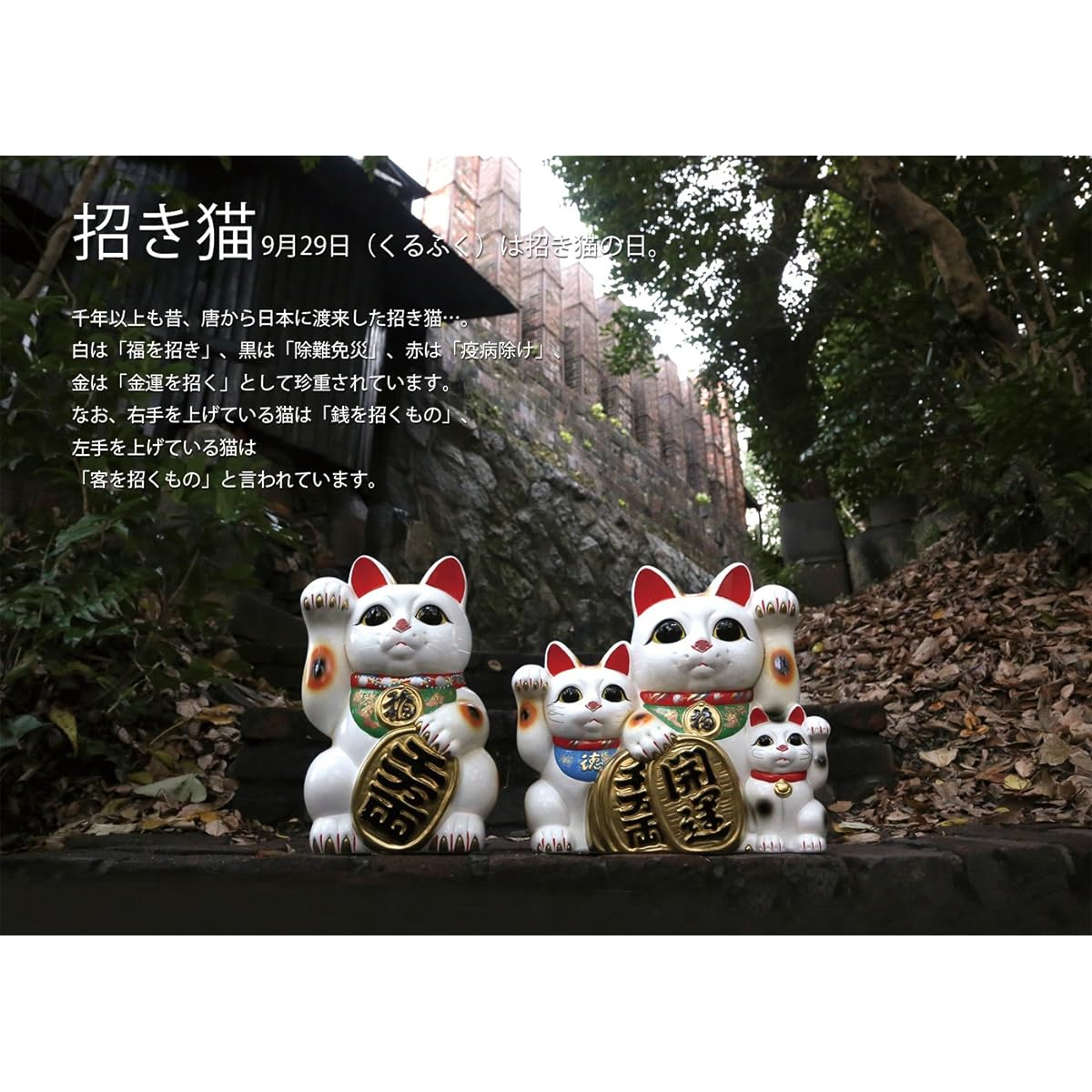 Tokoname ware teapot 8453 Umetsuki No. 10 White three cats Made in Japan Good luck T934