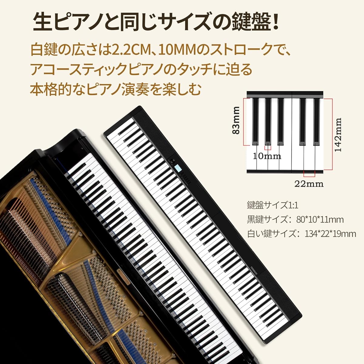 TERENCE Electronic Piano 88 Keys Foldable Touch Response Keyboard 5W Dual Speakers MIDI Compatible Keyboard Piano Rechargeable with Petals Perfect for Practice Compact Portable Japanese Instruction Manual Included V30 Black