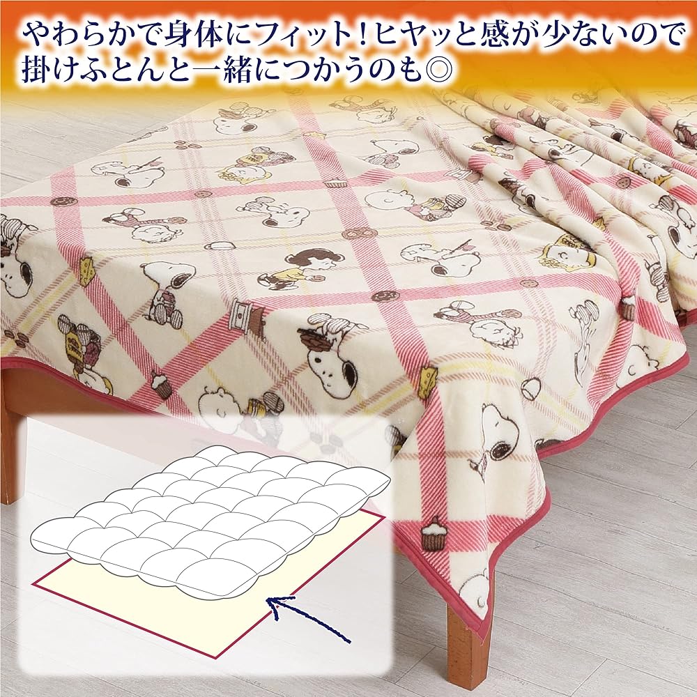 nishikawa [Nishikawa] Snoopy Blanket Single Washable Cafe Pattern Check Red FQ02505035