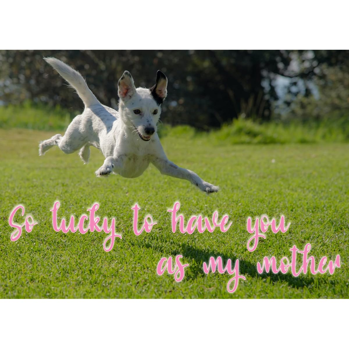 Glory To Dog So Lucky To Have You As My Mother Mother's Day Greeting Card