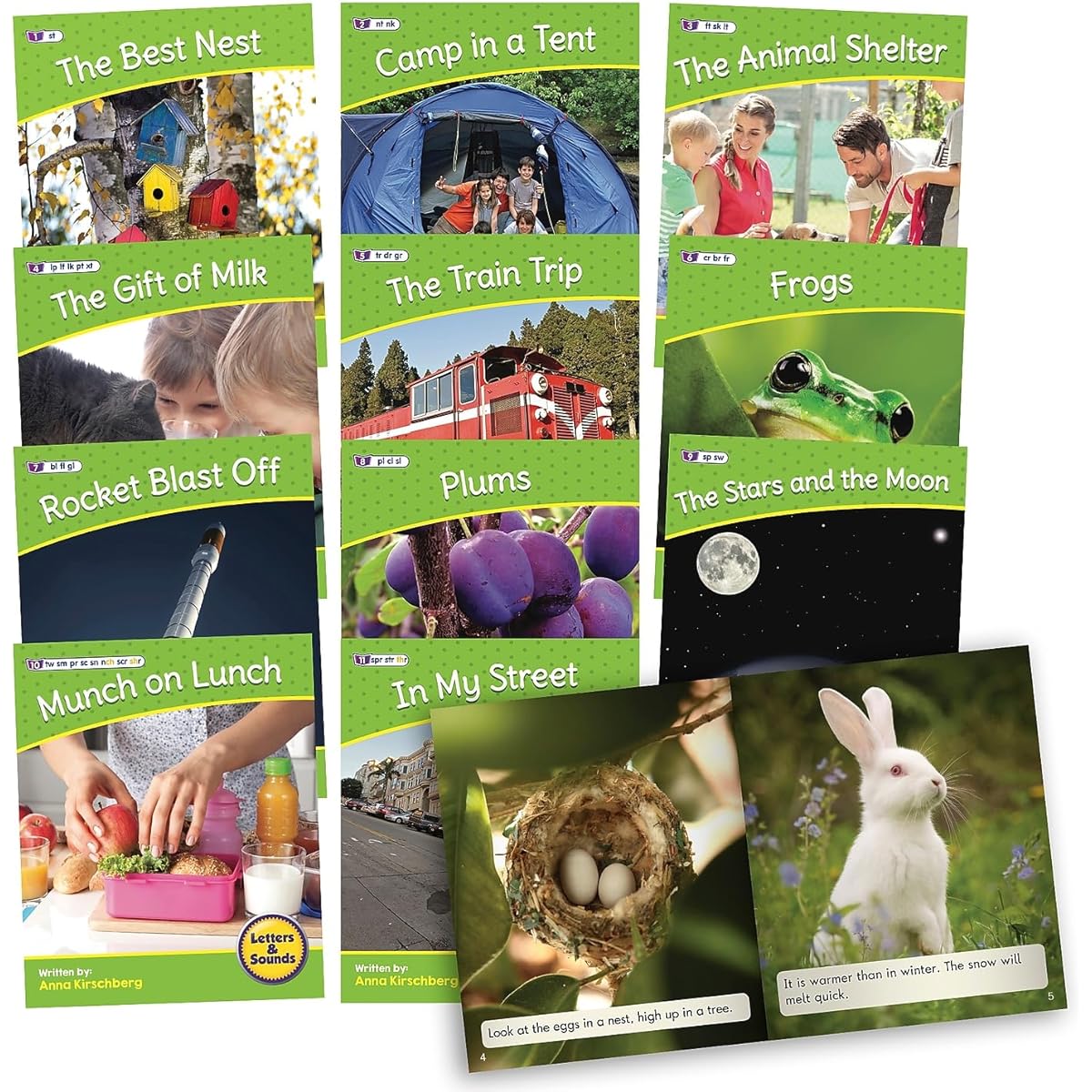 Junior Learning Letters & Sounds Phase 4 Set 2 Non-Fiction - Life Science.