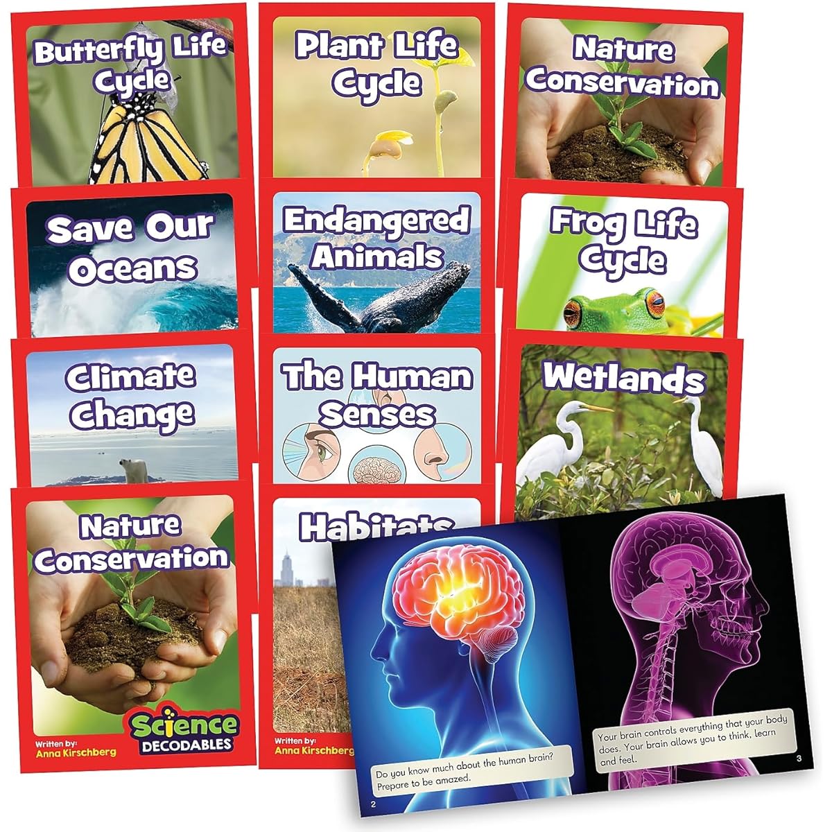 Junior Learning Science Decodables Phase 6 Non-Fiction Multicolor