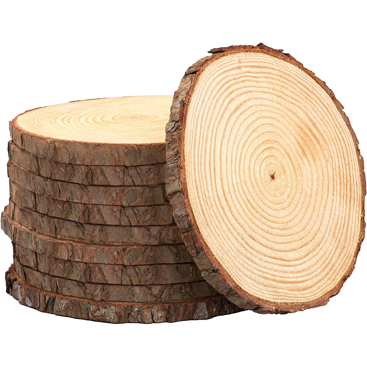 Set of 10 Wood Slices for Centerpieces! Wood Slice Centerpieces, Wood Rounds, Tree Slices (8 inches)