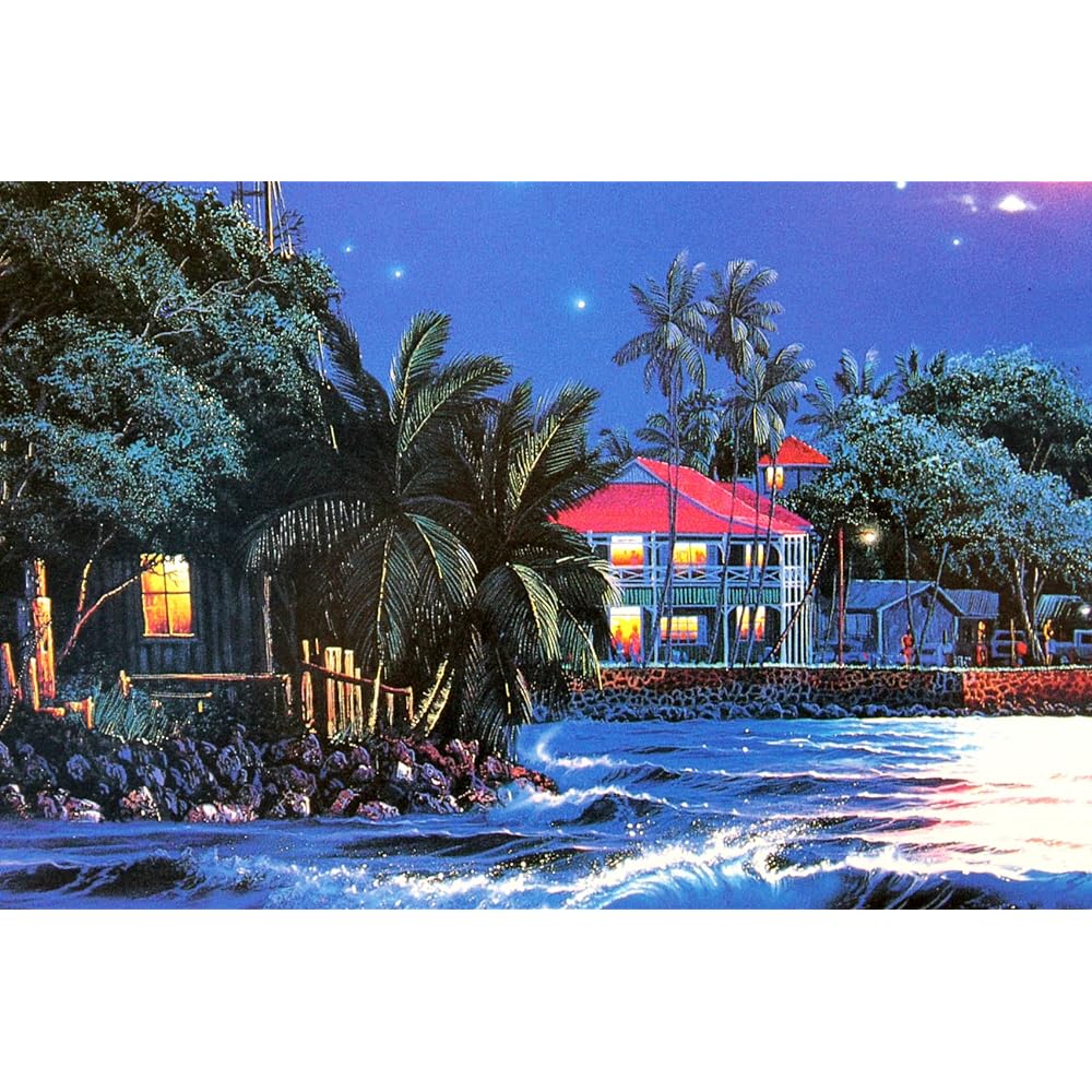 Art Shop Forms Lassen "Lahaina Starlight" Art Poster Framed Item