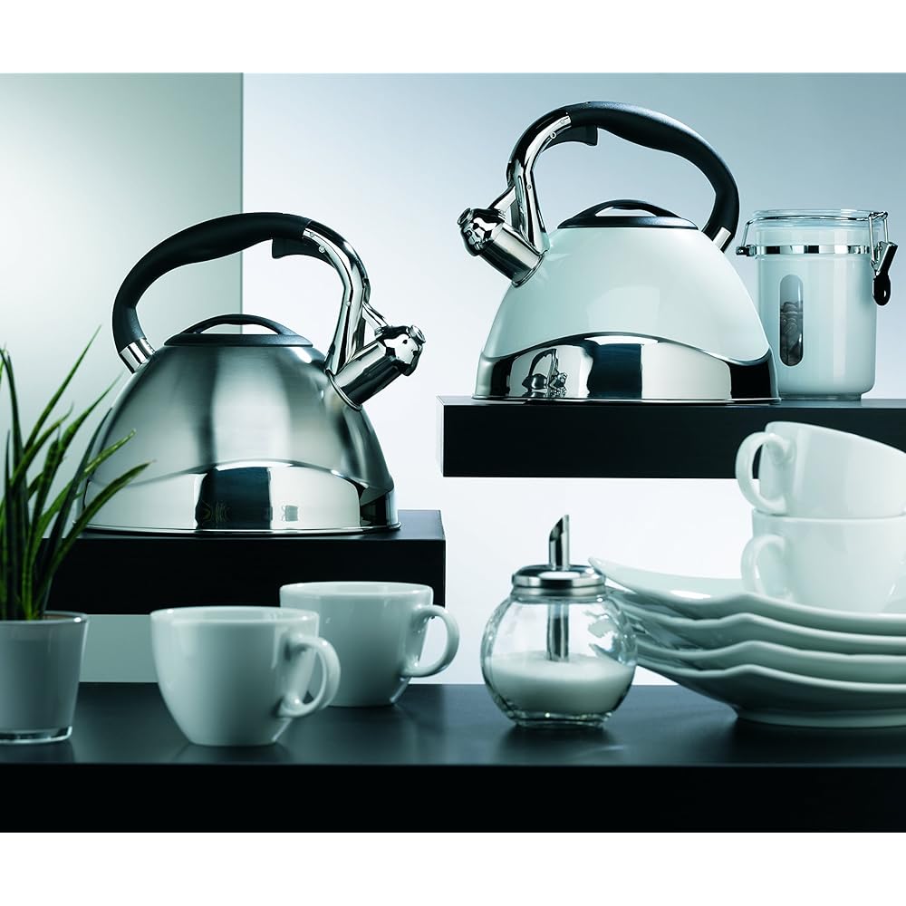 Kela Kettle Stainless Steel 11655 Size:∅22×H21.5cm