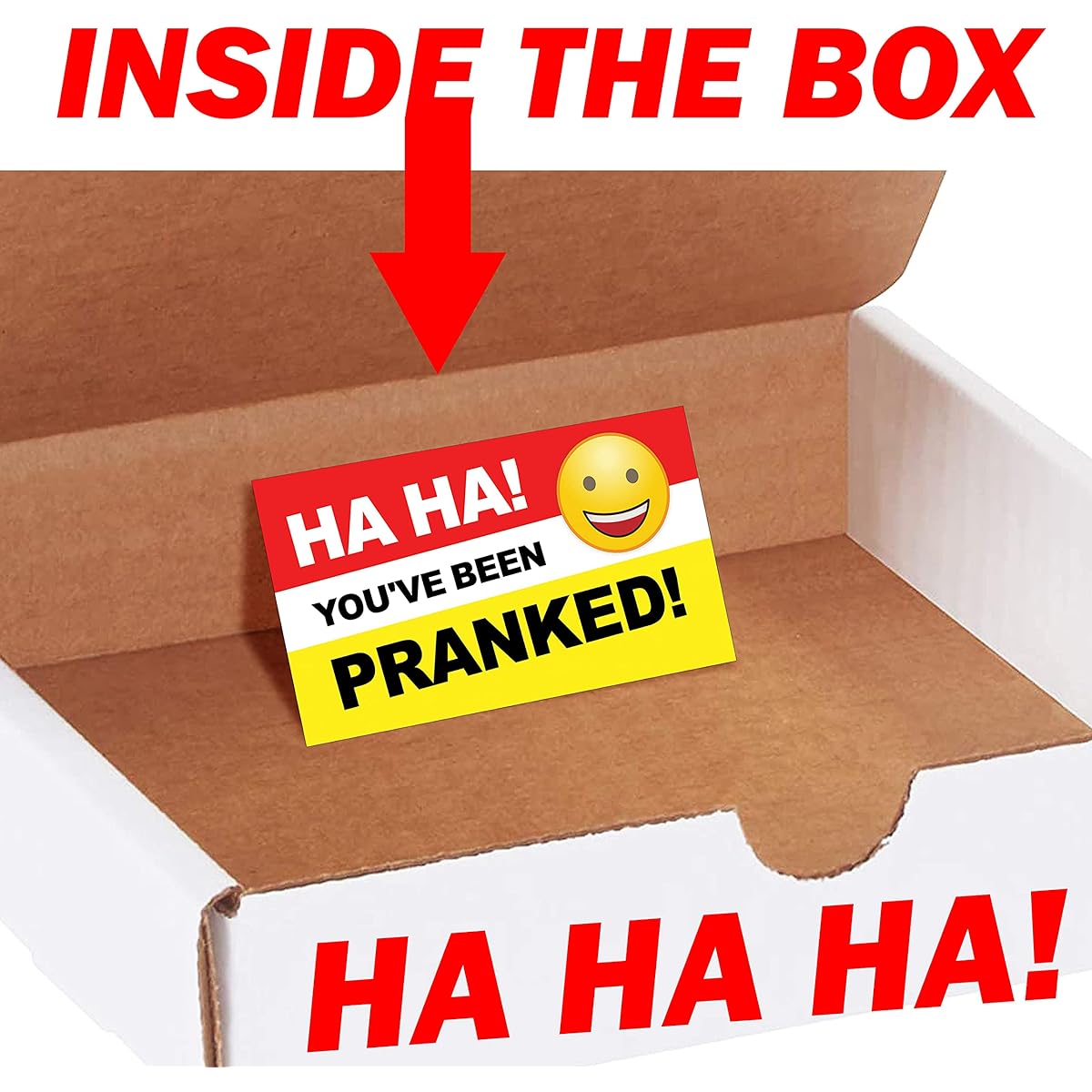 Design Doggie Hilarious Prank Mail Butt Stretcher 9000 Funny Gag Gift Box Mail Pranks Sent to Loved Ones/Victims 100% Anonymous