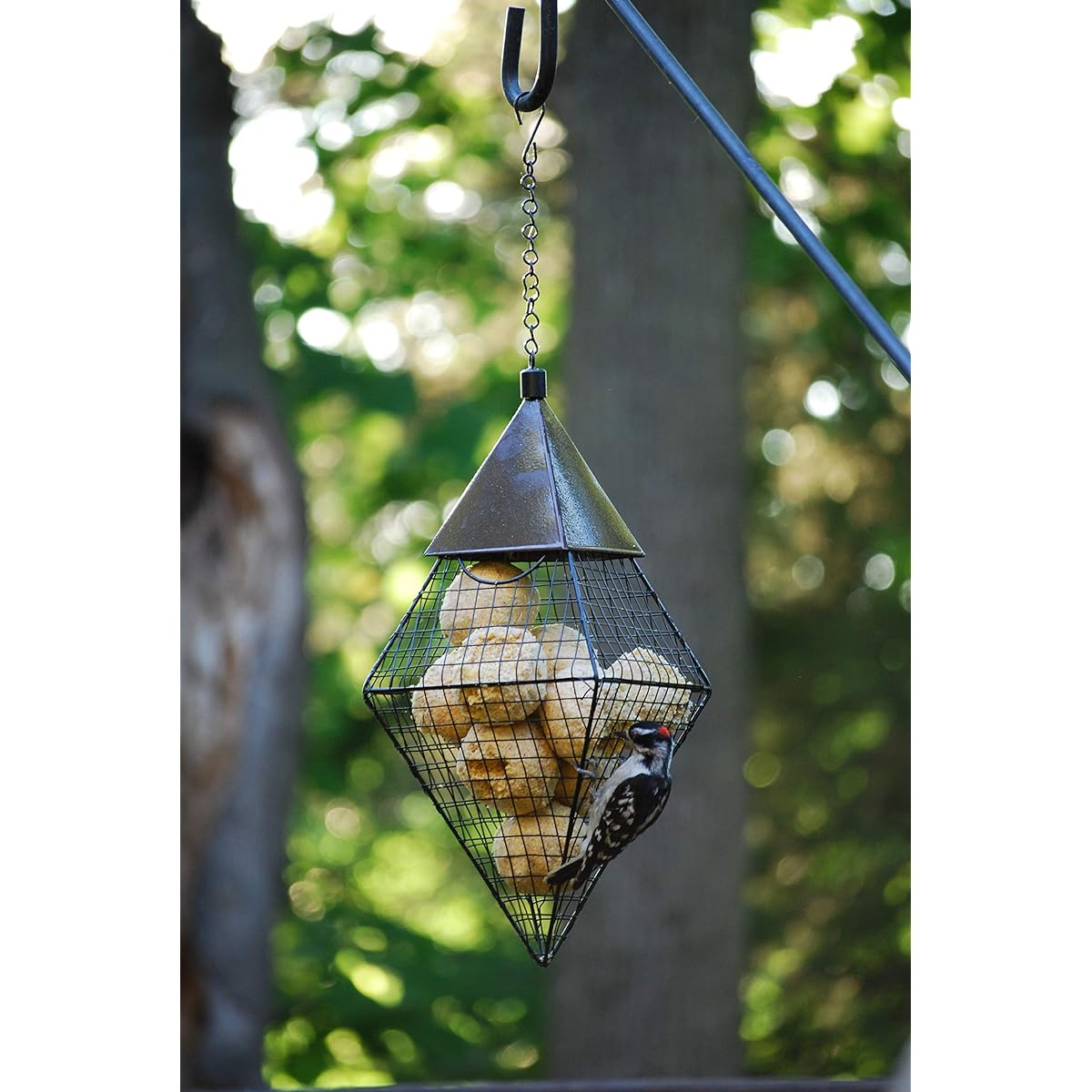 Wildlife Sciences Geo Ball Bird Feeder Diamond