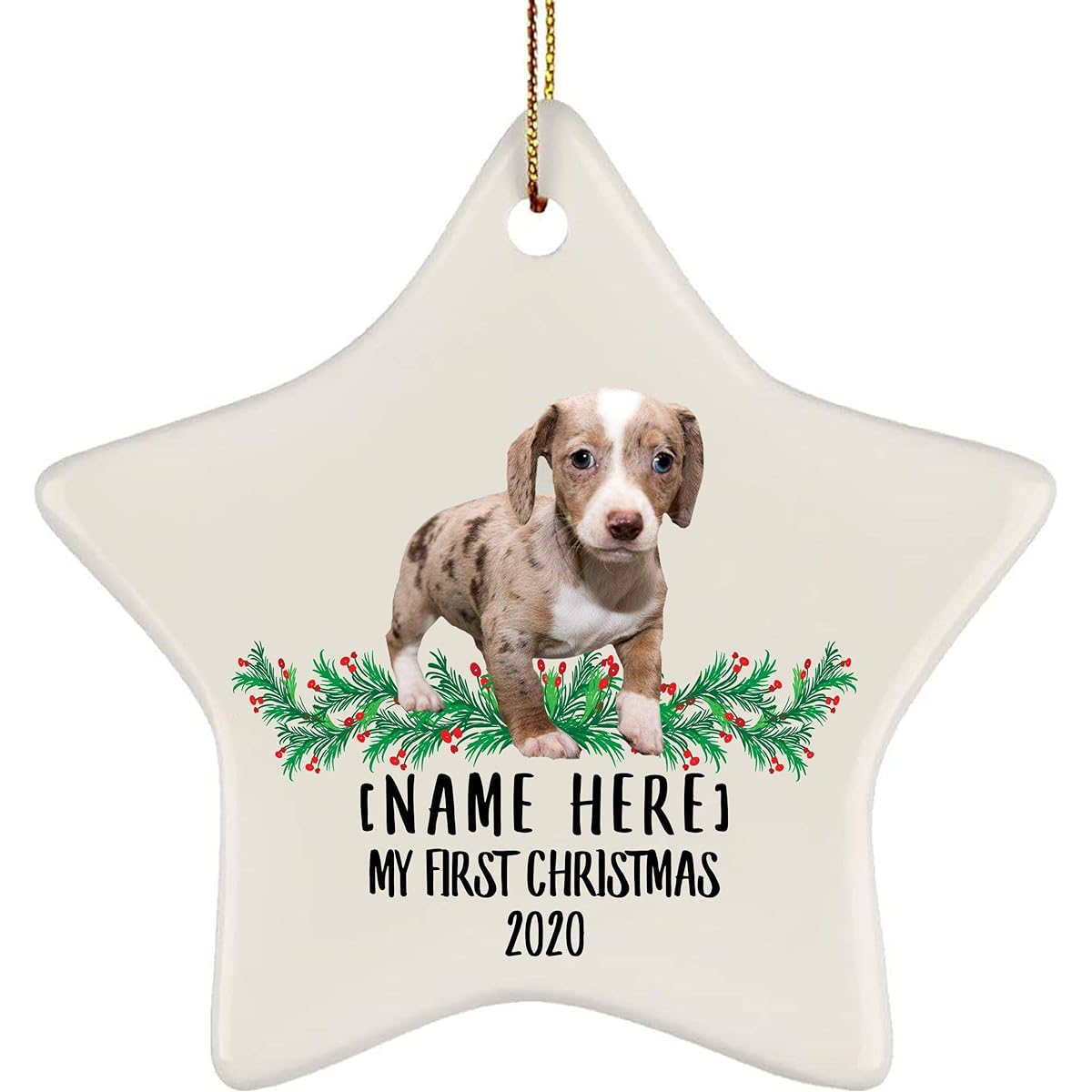 Personalized Name Custom Year Chiweenie Tan Merle First 2023 Christmas Tree Ornament New Year 2024 Decoration Gift Star Ceramic White