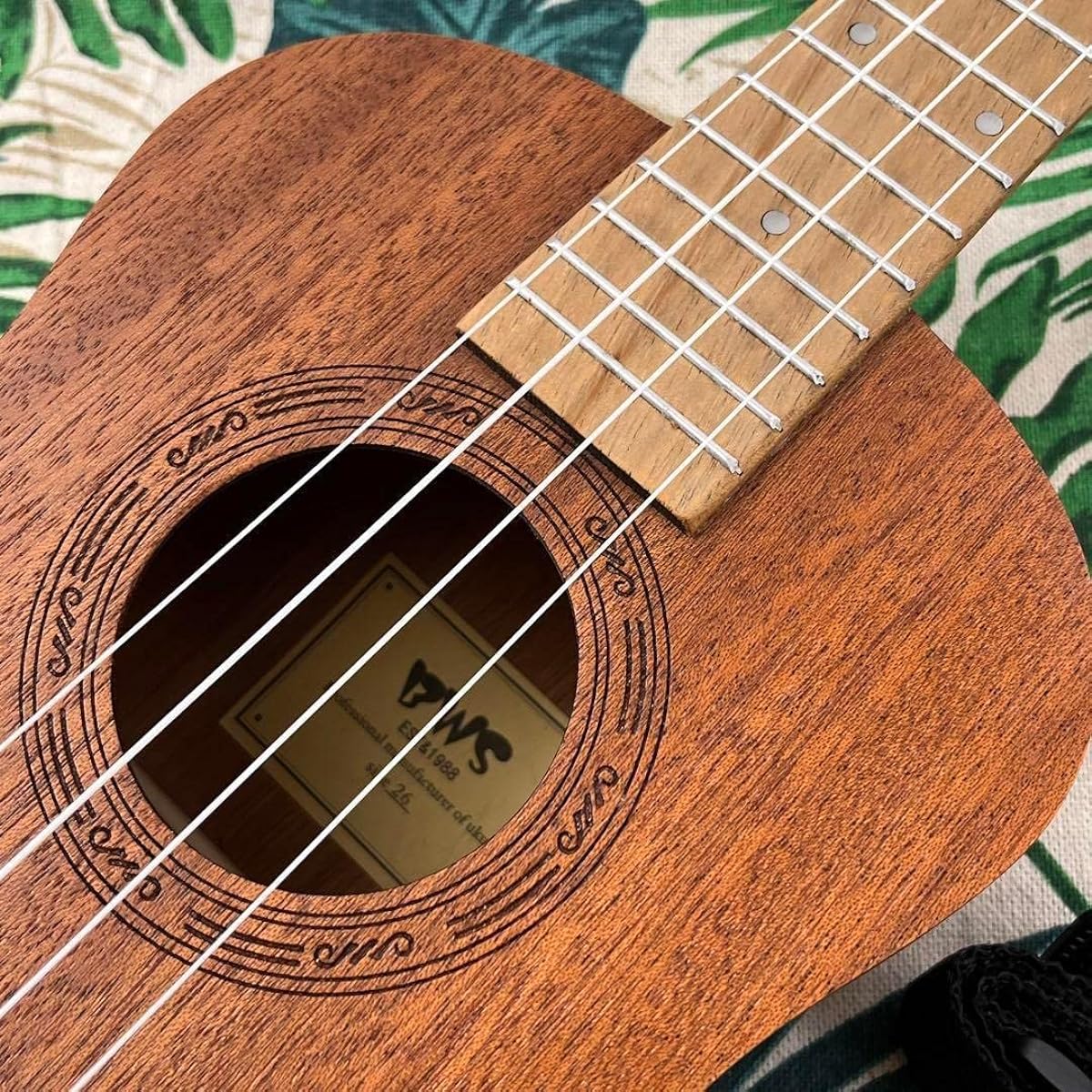 Beginner's set BWS Mahogany Tenor Ukulele Ukulele Specialty Store