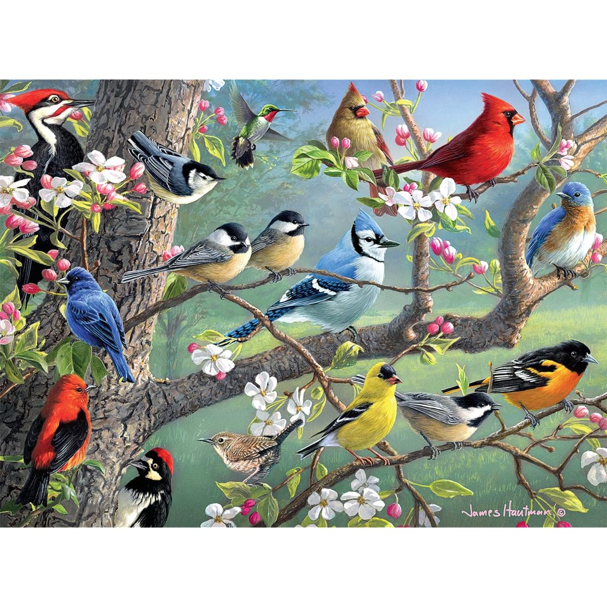 Buffalo Games - Hautman Brothers - Birds in the Orchard - 1000 Piece Jigsaw Puzzle