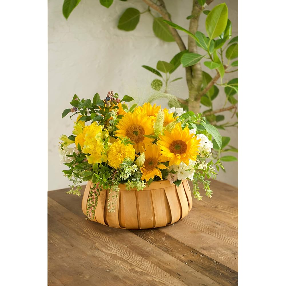 HitoHana Sunflower Arrangement Yellow L