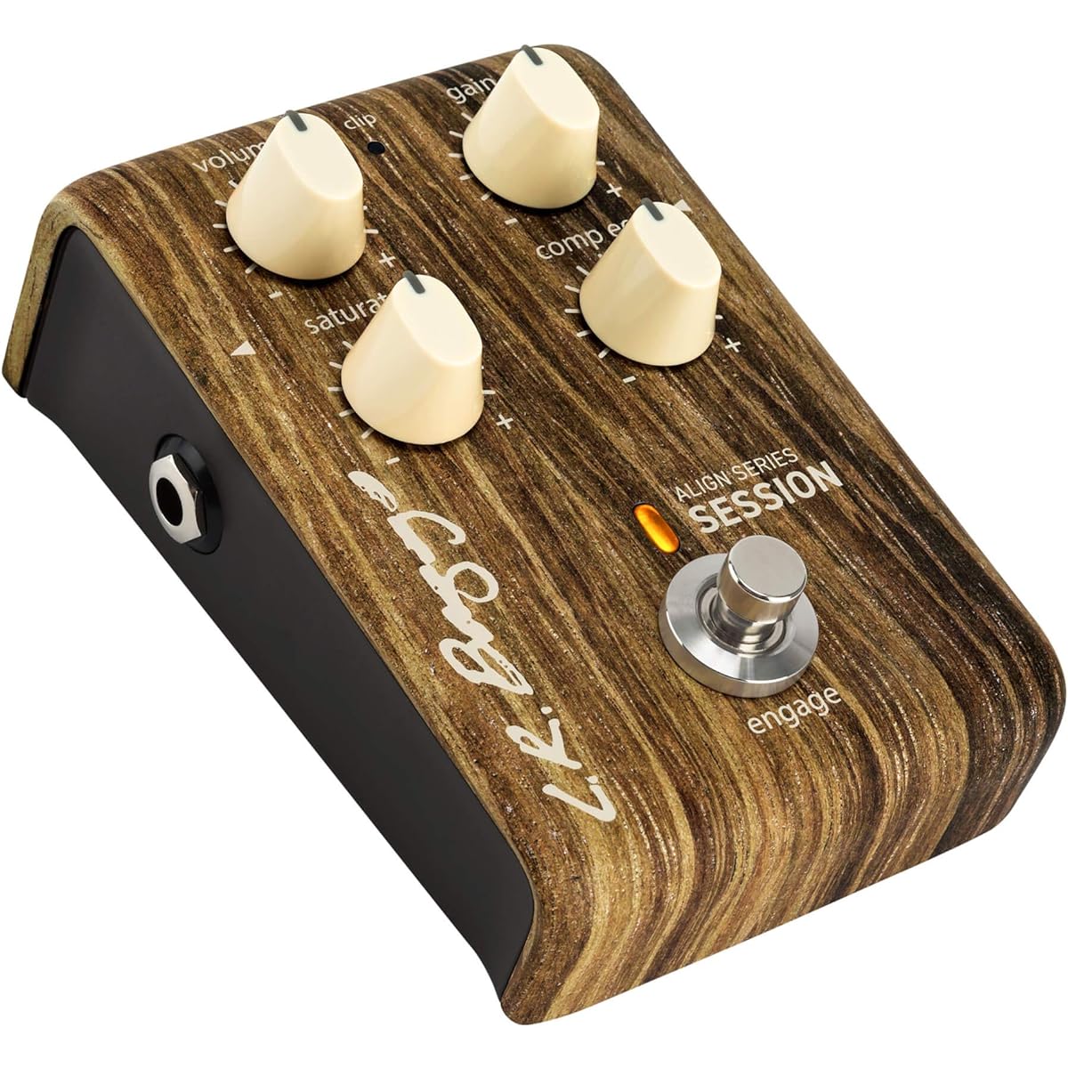 LR bag ALIGN series session pedal