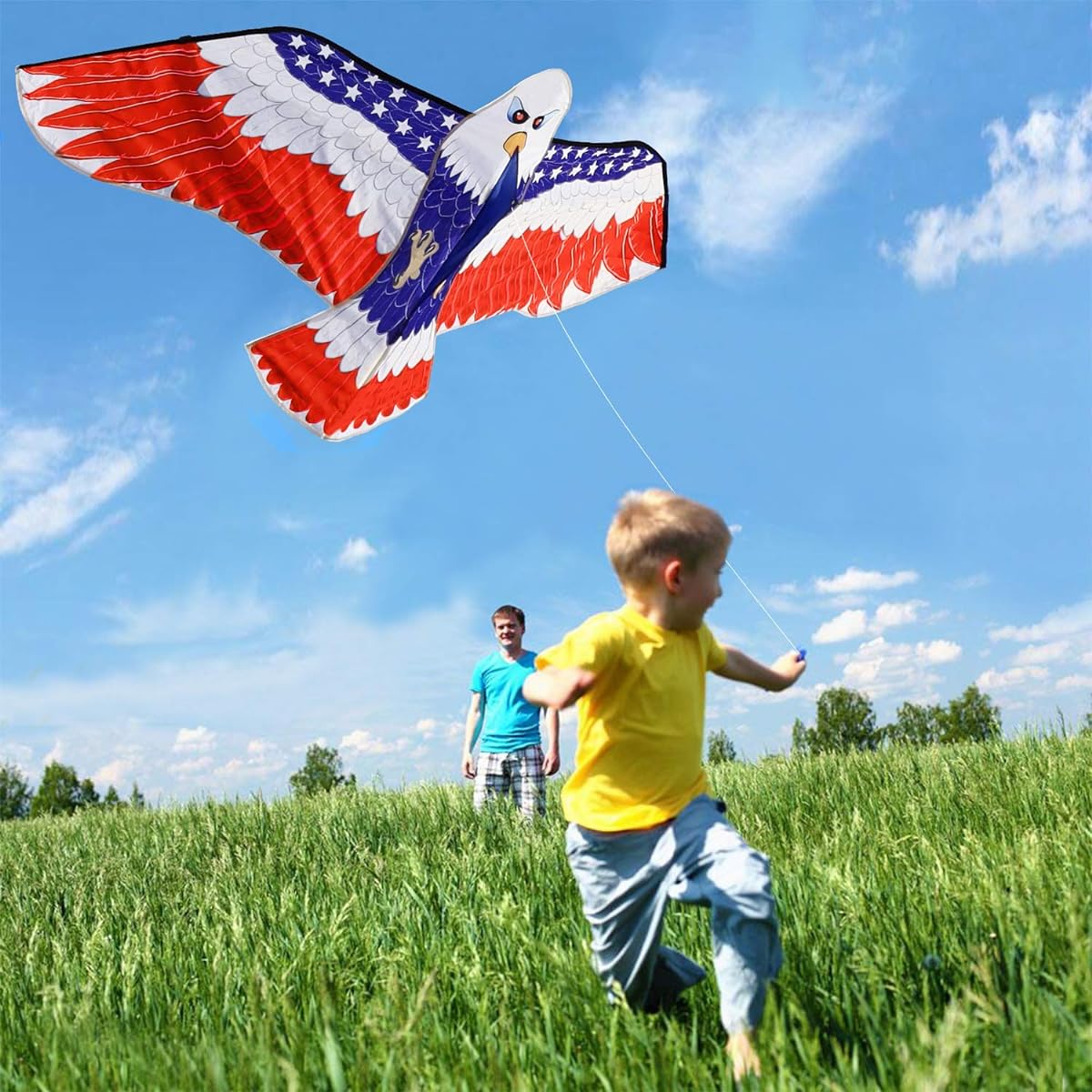 thecolorfullife Eagles. Large beginner eagle kite for adults and kids. 74 inches.