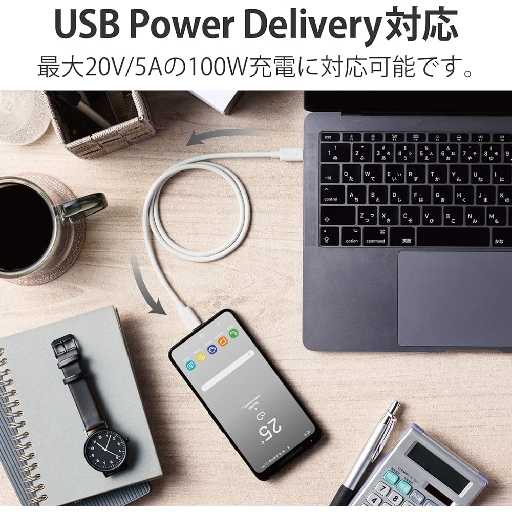 ELECOM USB Cable for Charging and Data Transfer TypeC & TypeC USB4 iPhone 15 Compatible USB Power Delivery Compatible 100W (20V/5A) Power Supply Up to 40Gbps Data Transfer 0.8m Silver USB4-APCC5P08SV