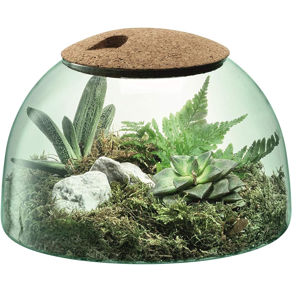 LSA Flower Vase Clear W24xD24xH16.5cm LSA LCQ13, G1580-16-161