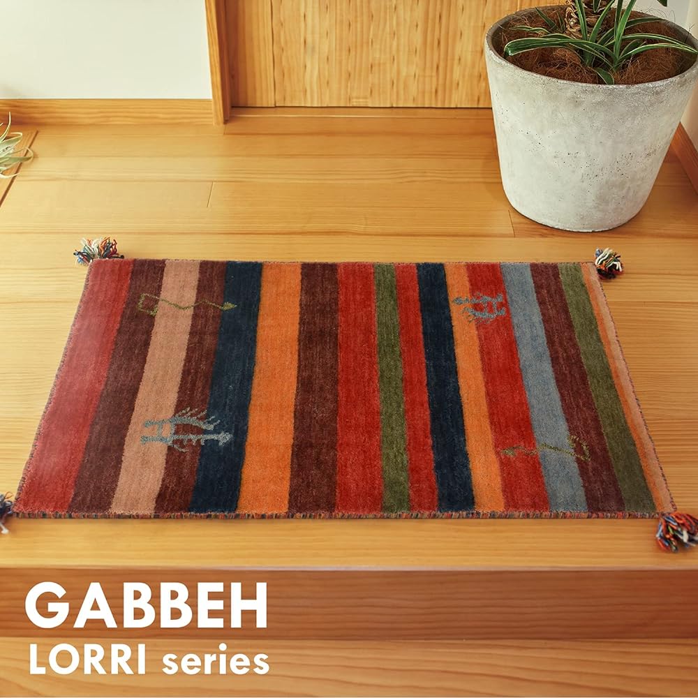Hagiwara Entrance Mat Multicolor Size: Approx. 45 x 75cm