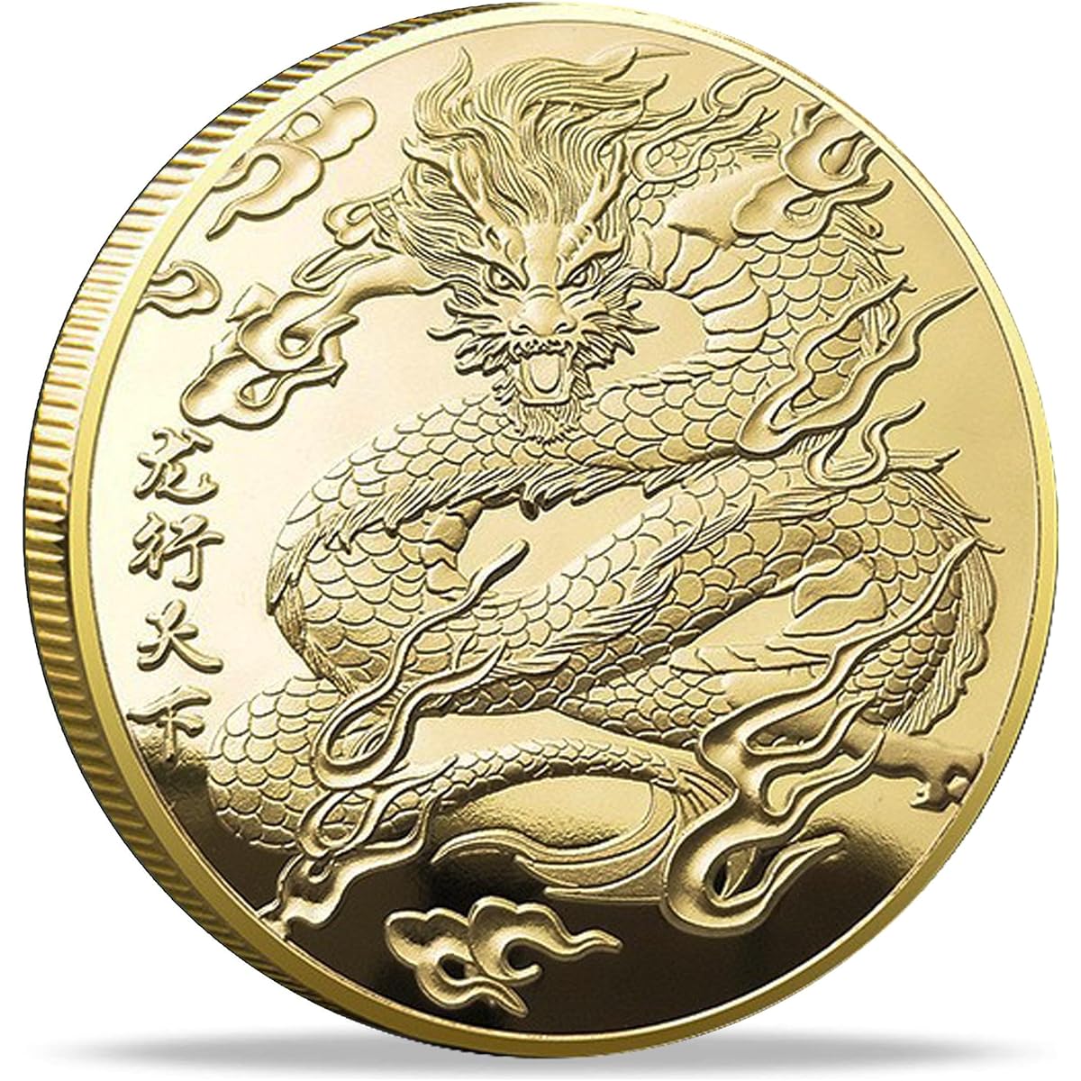 Strugglejewelry Chinese New Year Golden Lucky Coin Lottery Ticket Scratcher Tool Perfect for Luck and Prosperity