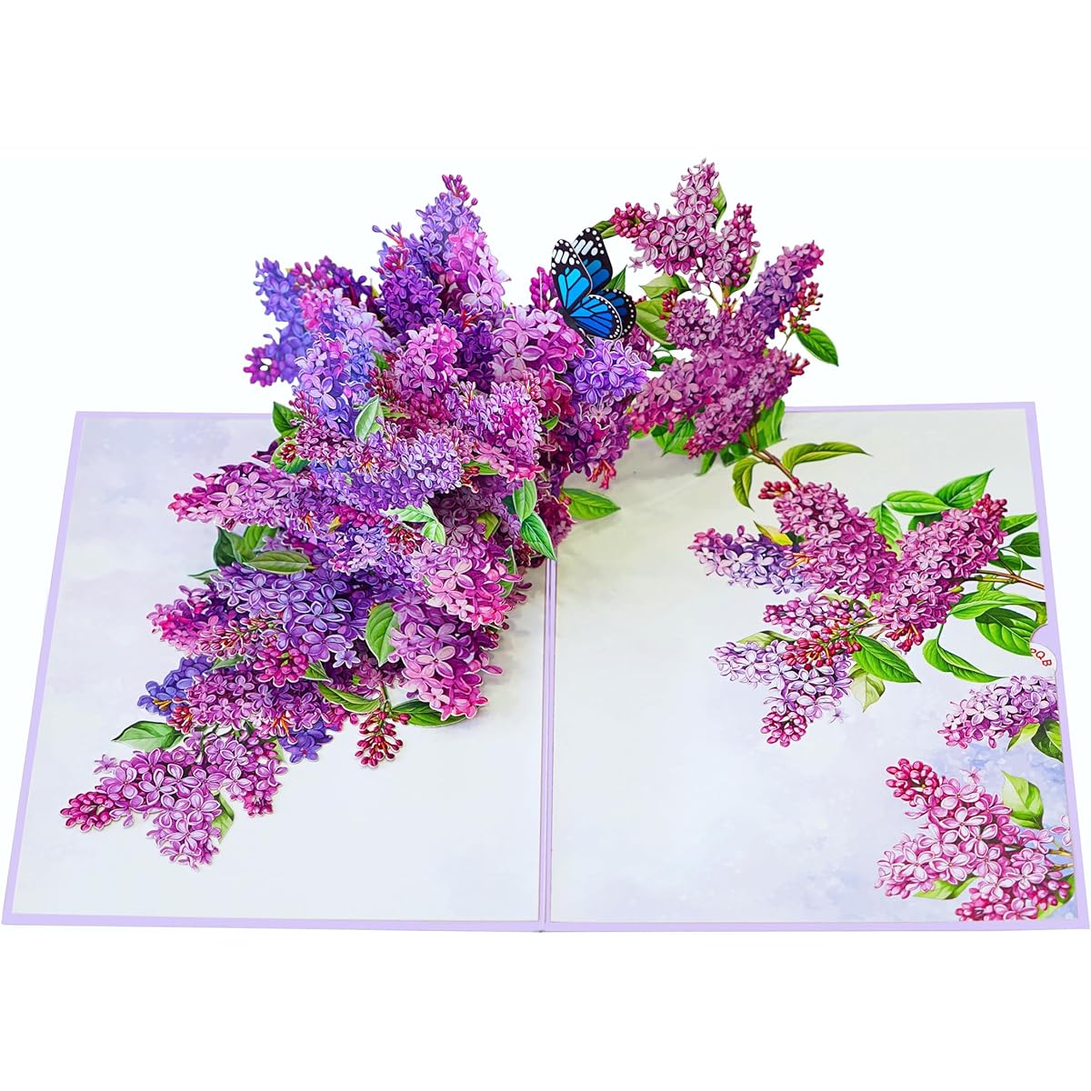 PQ Bees Pop Up Birthday Card, 3D Mother's Day Pop Up Birthday Anniversary Get Well Soon Thank You Valentine's Day Card (Size 6 x 8 Inch - Lilac Blossom Butterfly).
