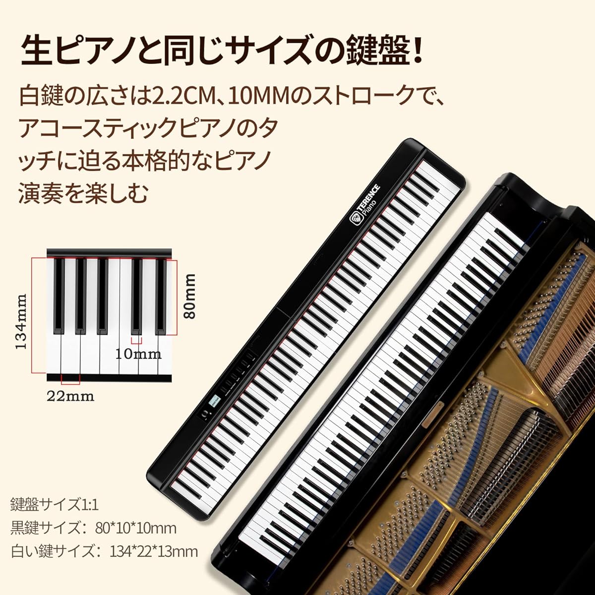 TERENCE Electronic Piano 88 Keyboard Foldable Electronic Organ Touch Response Keyboard MIDI Compatible 25W Dual Speakers Rechargeable Petal Included Perfect for Practice DigitalPiano Compact Portable Japanese Instruction Manual Included X88E Black