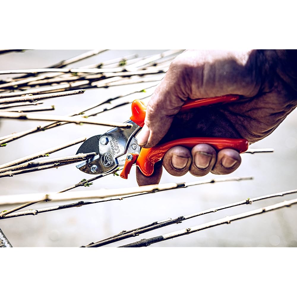 LOWE Lion Pruning Shears Small Anvil Type 5104
