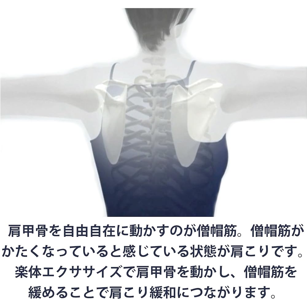 [Haru method] Musical body (camel) original/single item (no DVD)