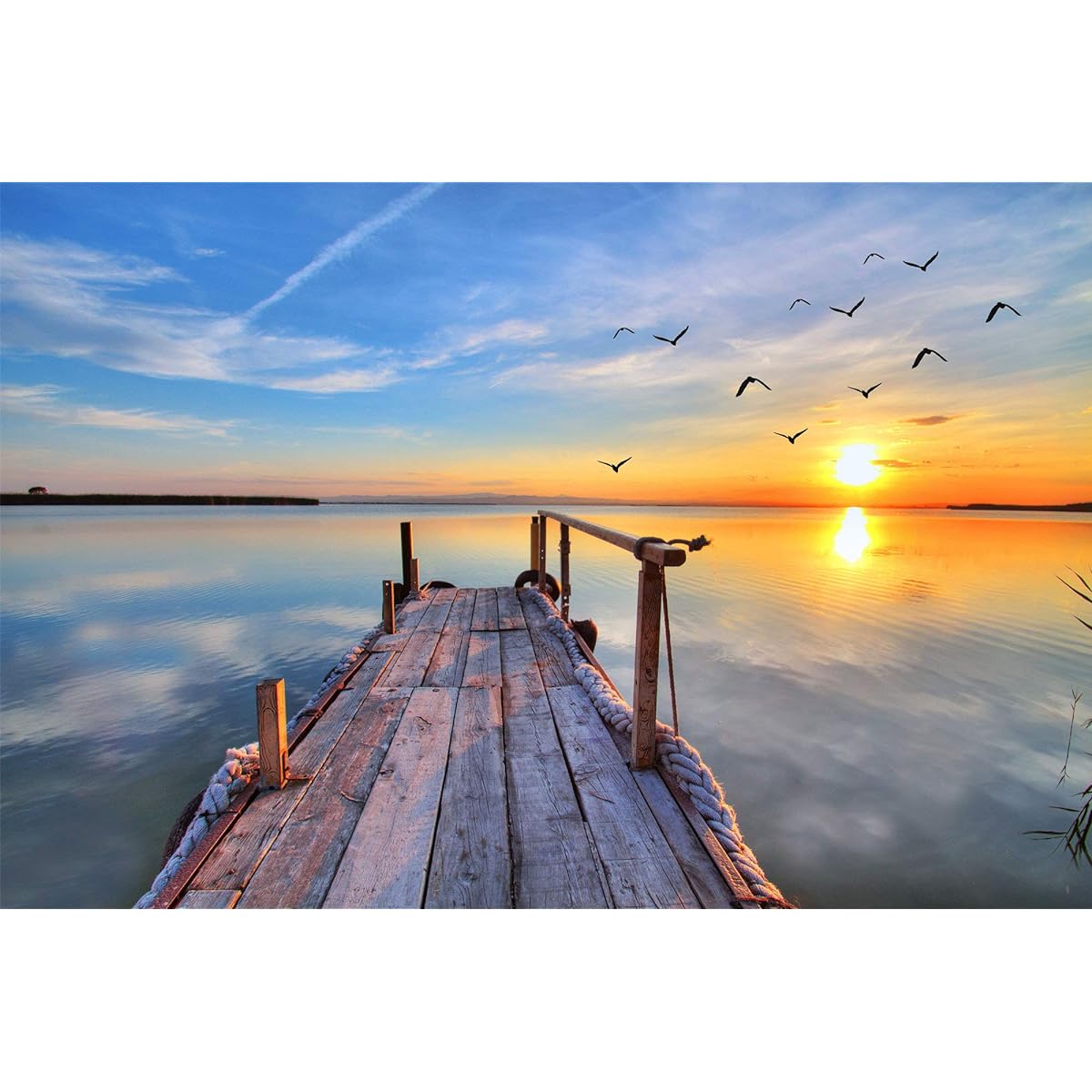 1000 Piece Jigsaw Puzzle for Adults Sunrise Seaside Cool Puzzle Challenging Puzzle Wall Hanging Home Decoration
