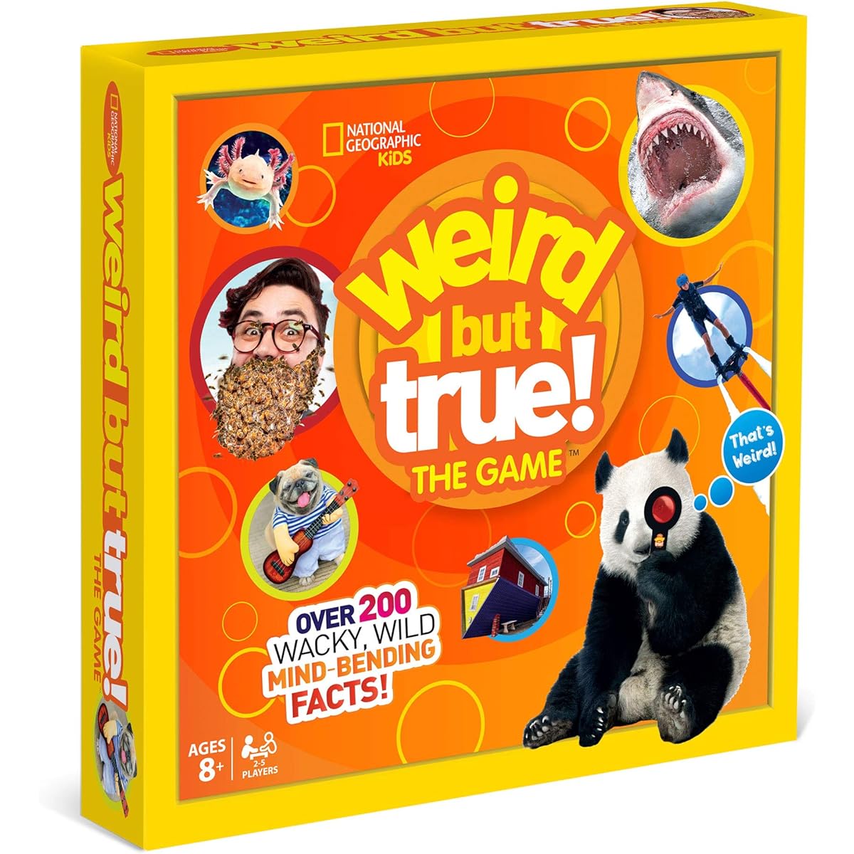 Buffalo Games - Strange but True Games