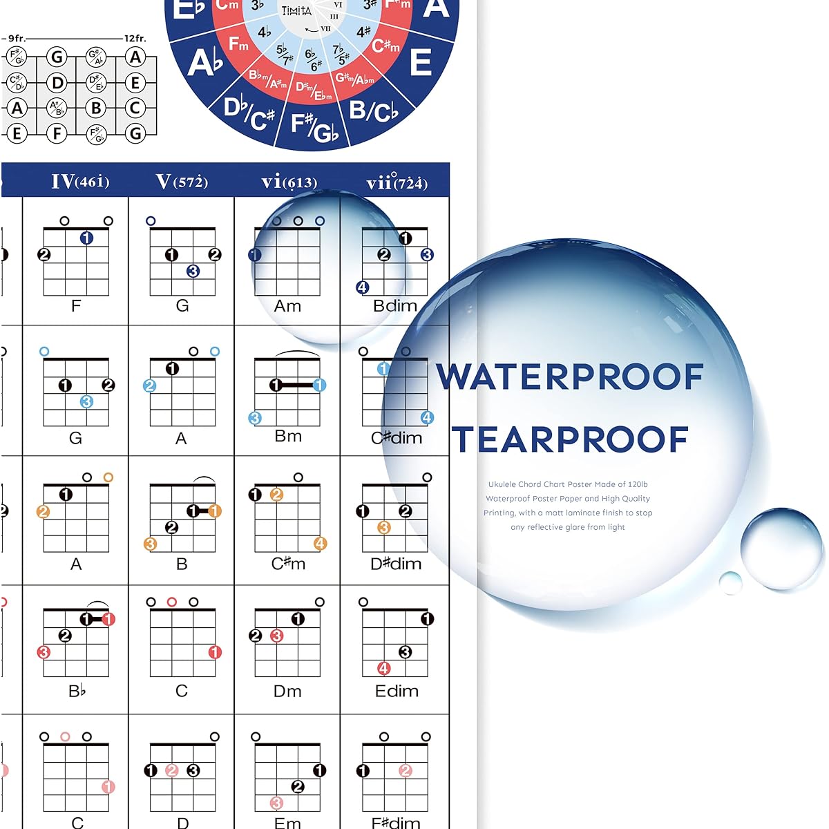 Ukulele Chords Poster Chart Beginner's Educational Reference Guide Learn Chord Progressions Play Ukulele Chord Sequences in Any Key Includes Ukulele Fingerboard Notes & Circle of Fifth Wheel Chart