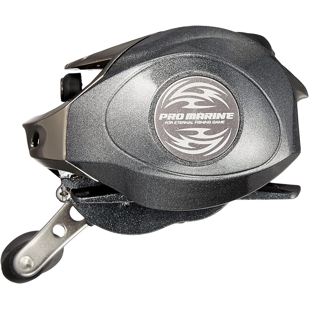 PRO MARINE Reel Ricardo RD100W RD100W Pro Marine Fishing Reel Bait Reel Double Axis