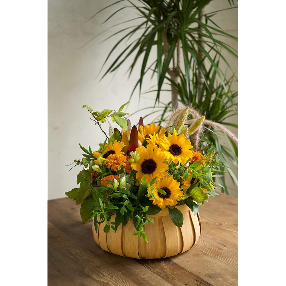 HitoHana Sunflower Arrangement Orange M